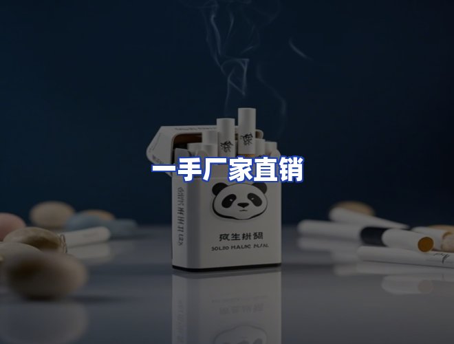 专业团队